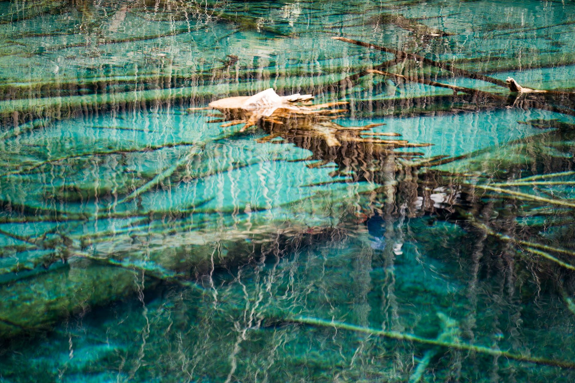 Jiuzhaigou：A fairy tale world