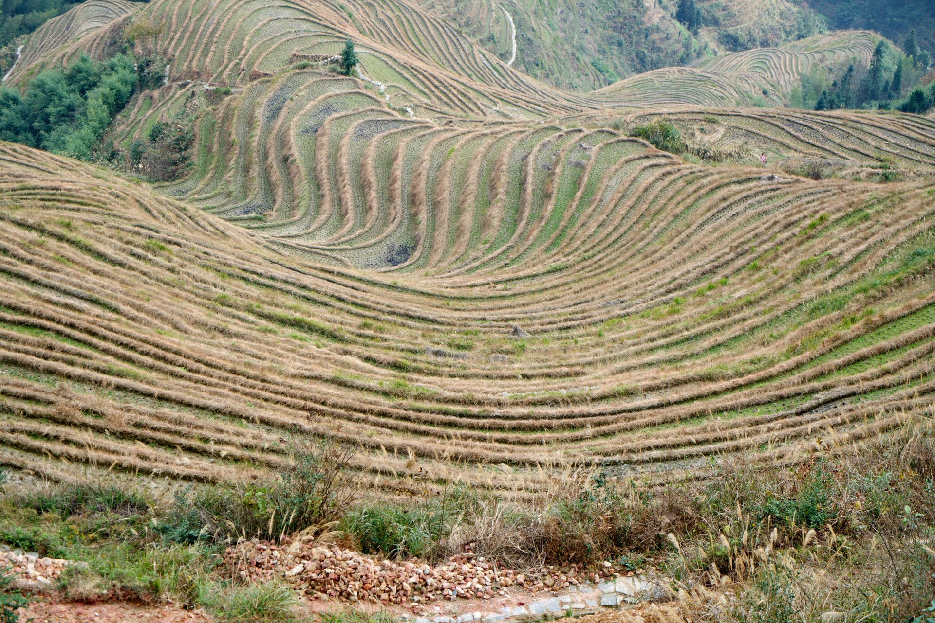 Longji Rice Terraces：Poems carved into the earth