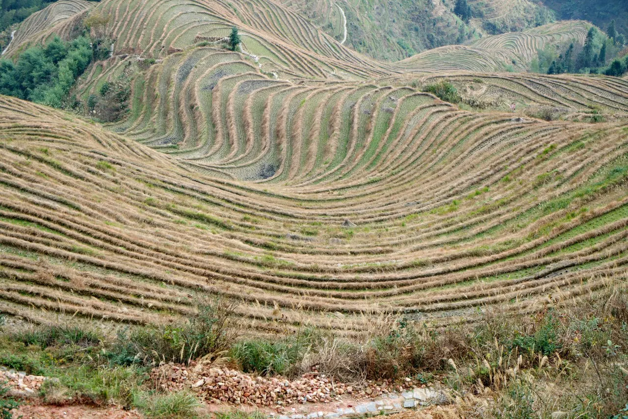 Longji Rice Terraces：Poems carved into the earth